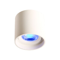 LED Ceiling Spot 24V, 8W, RGBW/2700K, CRI90