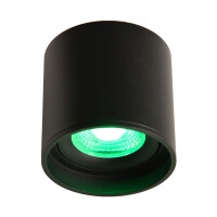 LED Ceiling Spot 24V, 8W, RGBW/2700K, CRI90