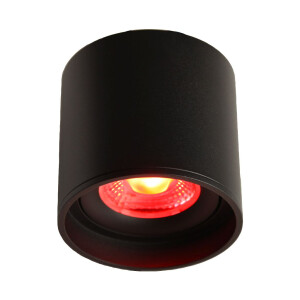 LED Ceiling Spot 24V, 8W, RGBW/2700K, CRI90 Schwarz