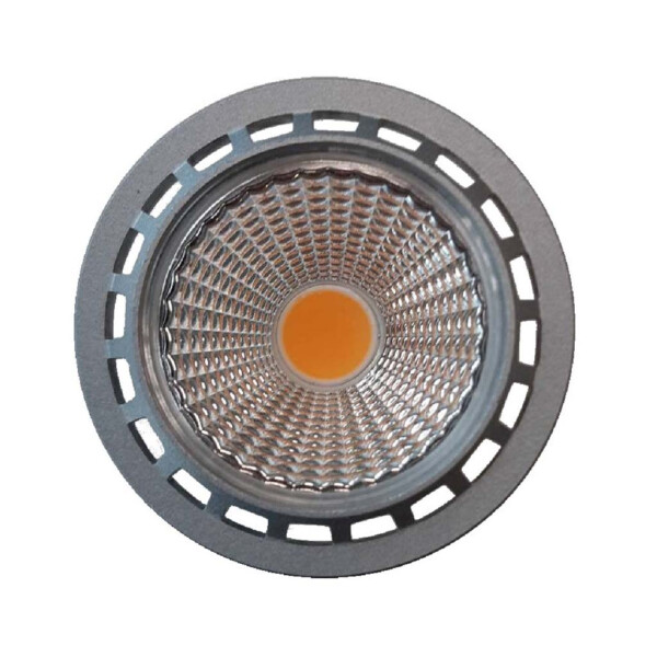 Frontansicht eines GU10 LED 24V Spots
