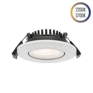 24V LED Spot Tunable White 5W